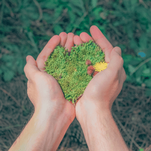 Go green