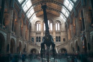 museum after dark
